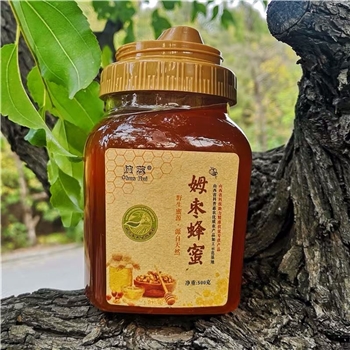 纯蕊姆枣蜂蜜（塑料瓶）