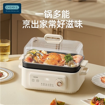 德国OIDIRE多功能料理锅/分体火锅 ODI-DGN06