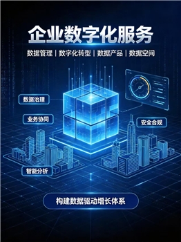 企业数字化服务
